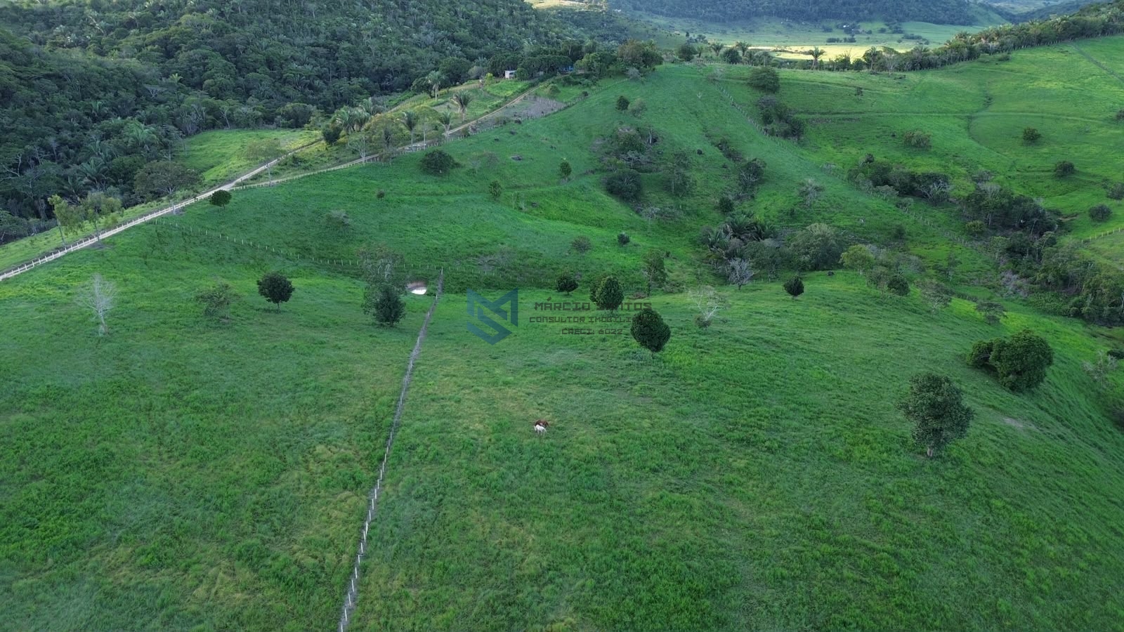 Fazenda > venda > Maceió /Alagoas - Benedito Bentes