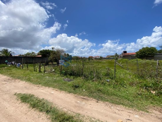 lote-venda-massagueira-proximo-ao-cajueiro-596881