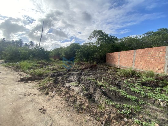 lote-venda-lote-na-lagoa-ilha-de-santa-rita-marechal-deodoro-al-581814