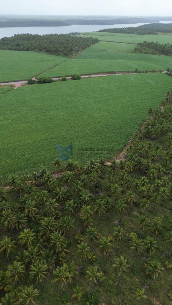 terreno-venda-grande-area-a-beira-mar-no-litoral-de-alagoas-1023551