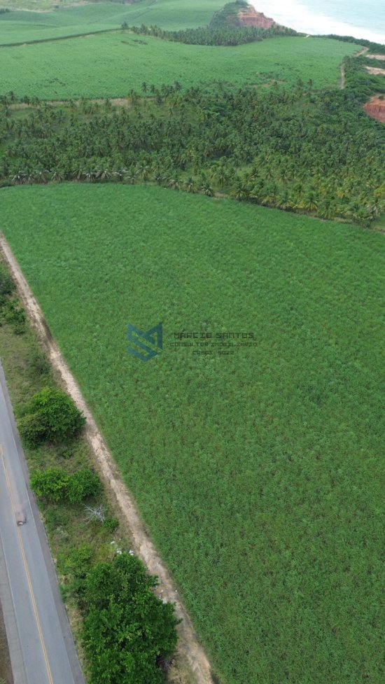 terreno-venda-grande-area-a-beira-mar-no-litoral-de-alagoas-1023560