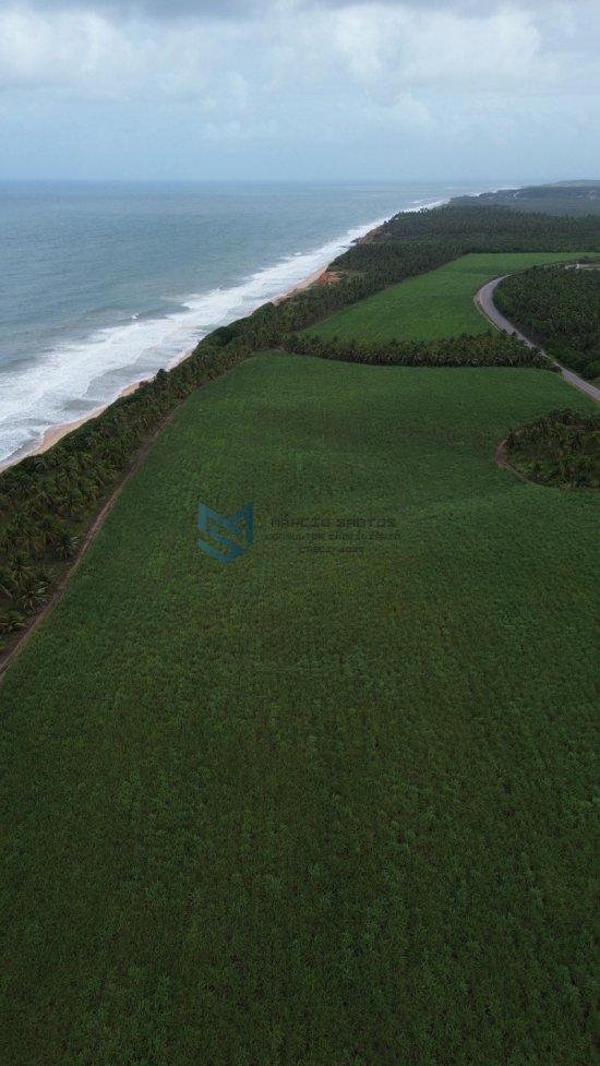 terreno-venda-grande-area-a-beira-mar-no-litoral-de-alagoas-1023561