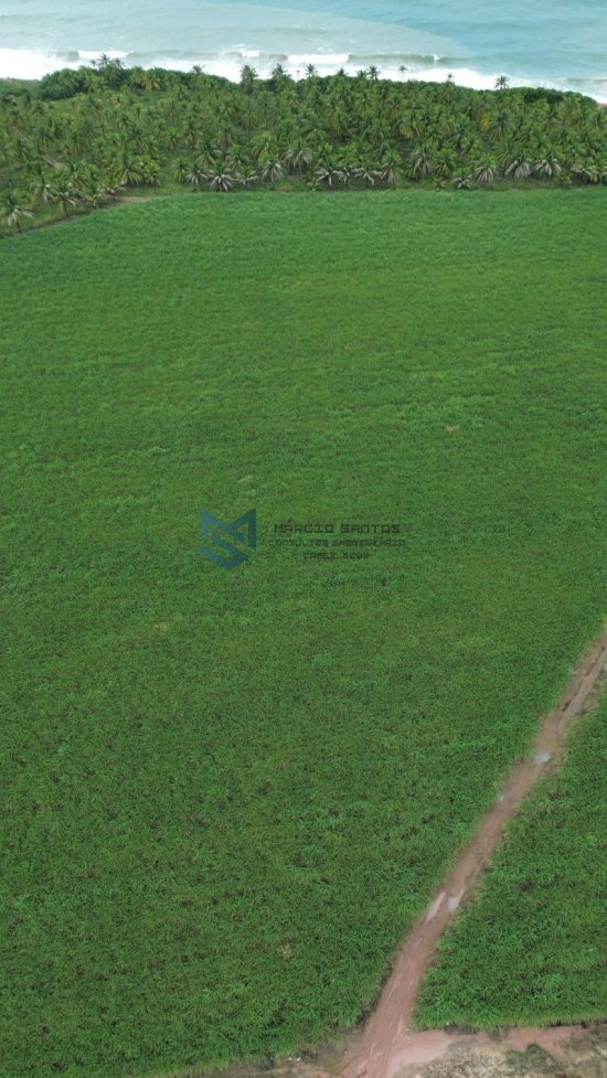 terreno-venda-grande-area-a-beira-mar-no-litoral-de-alagoas-1023562