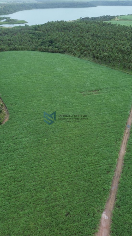 terreno-venda-grande-area-a-beira-mar-no-litoral-de-alagoas-1023563