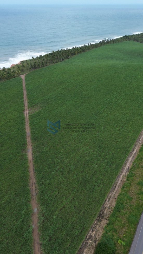 terreno-venda-grande-area-a-beira-mar-no-litoral-de-alagoas-1023564