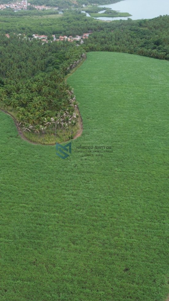 terreno-venda-grande-area-a-beira-mar-no-litoral-de-alagoas-1023565