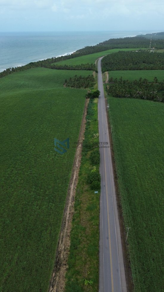 terreno-venda-grande-area-a-beira-mar-no-litoral-de-alagoas-1023566