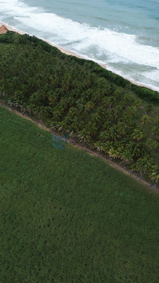 terreno-venda-grande-area-a-beira-mar-no-litoral-de-alagoas-1023552