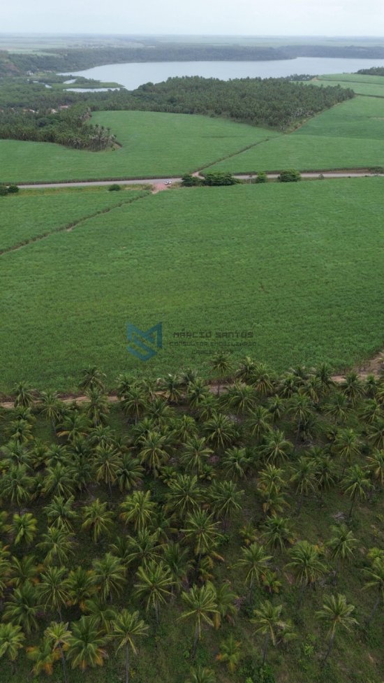 terreno-venda-grande-area-a-beira-mar-no-litoral-de-alagoas-1023553