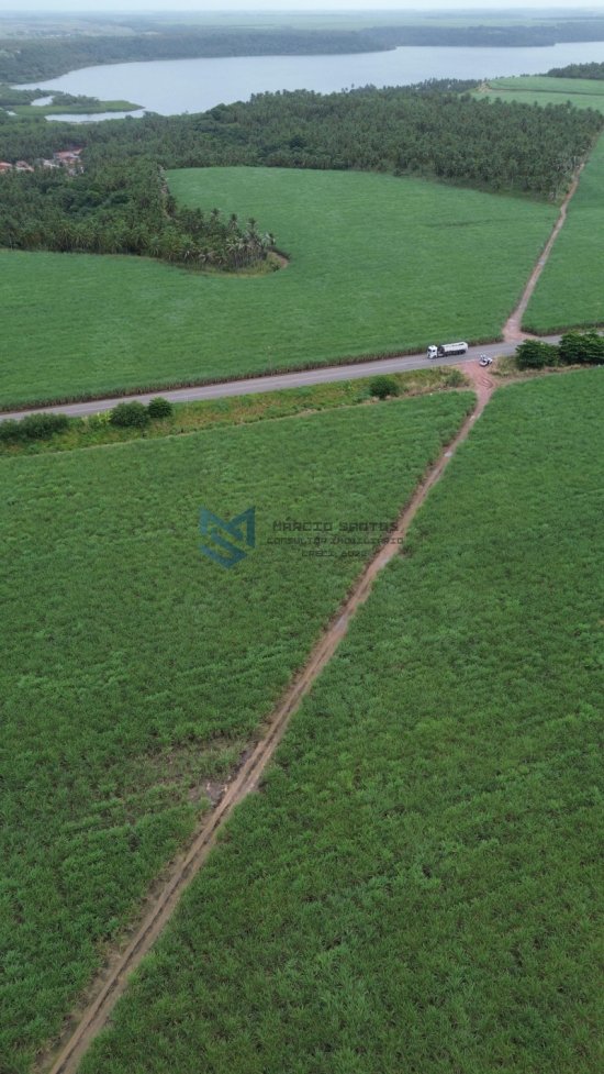 terreno-venda-grande-area-a-beira-mar-no-litoral-de-alagoas-1023554