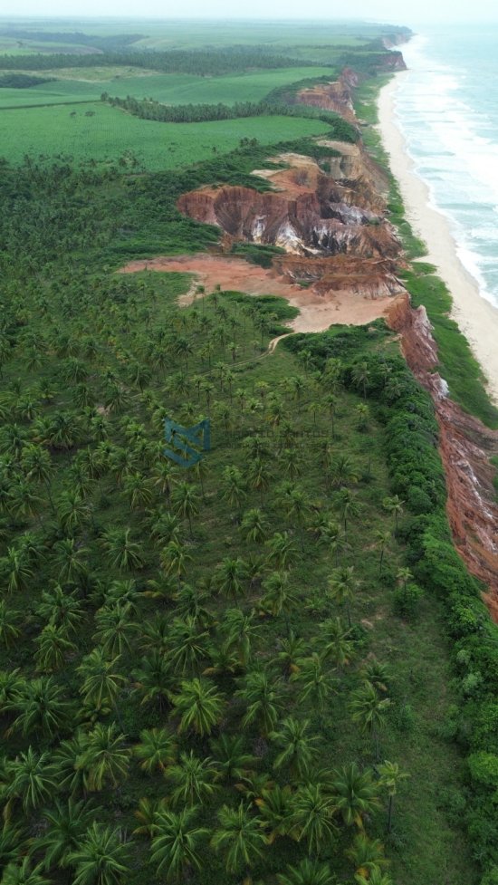terreno-venda-grande-area-a-beira-mar-no-litoral-de-alagoas-1023555