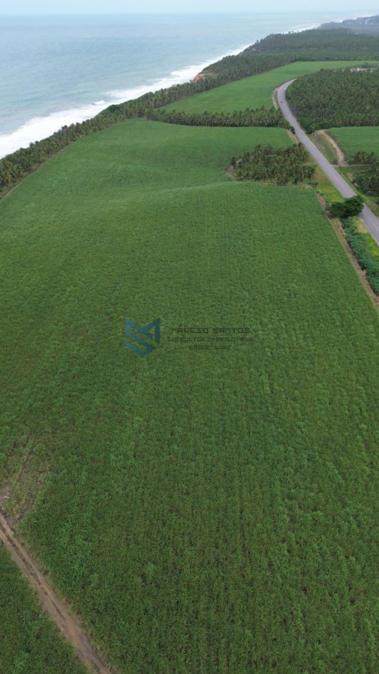 terreno-venda-grande-area-a-beira-mar-no-litoral-de-alagoas-1023556