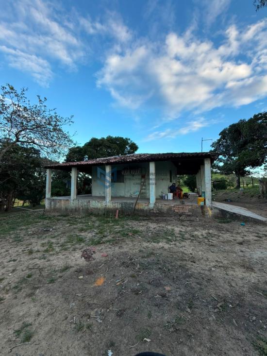 fazenda-venda-maceio-alagoas-benedito-bentes-1127222