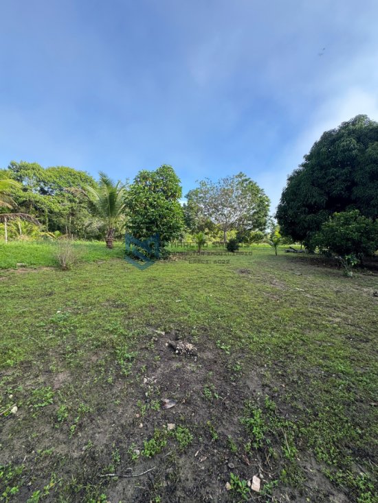 chacara-venda-chacara-em-marechal-deodoro-proximo-ao-frances-1118865