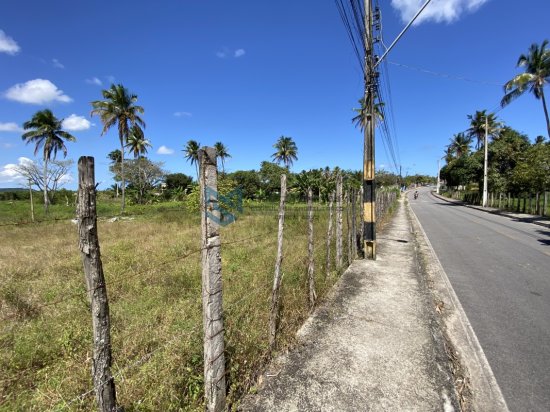 area-venda-proximo-a-praia-do-frances-marechal-deodoro-598785