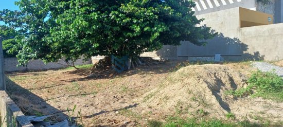 lote-venda-praia-do-frances-marechal-deodoro-1119680