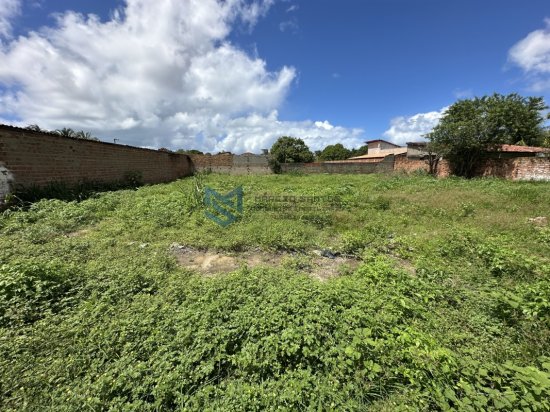 terreno-venda-praia-do-frances-maceio-alagoas-1099291
