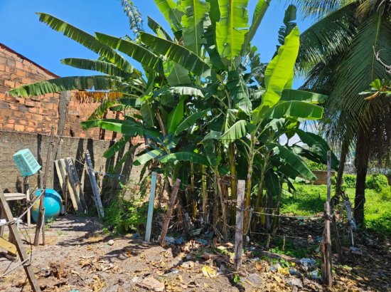 terreno-venda-massagueira-marechal-deodoro-1076720