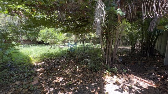 lote-venda-eldorado-proximo-ao-frances-lote-com-300m2-1009734