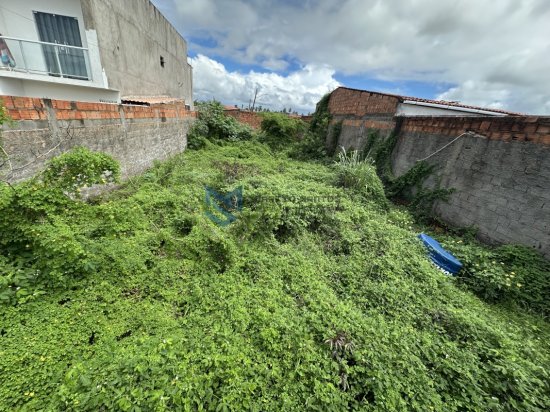 lote-venda-massagueira-marechal-deodoro-al-1099509