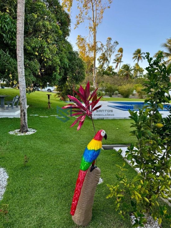 chacara-venda-chacara-em-marechal-deodoro-praia-do-frances-1027477