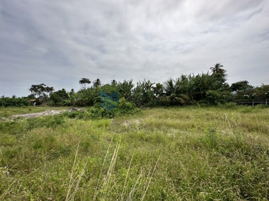 terreno-venda-area-a-beira-da-lagoa-litoral-sul-de-alagoas-massagueira-769427