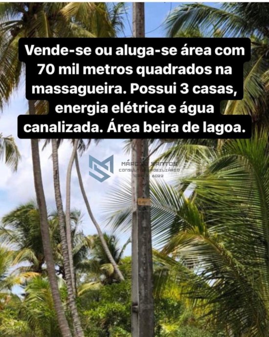 area-venda-e-aluguel-area-a-beira-da-lagoa-massagueira-no-litoral-sul-de-alagoas-942279