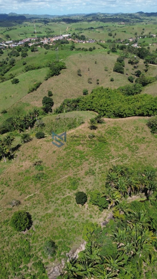 fazenda-venda-pindoba-em-alagoas-1045010