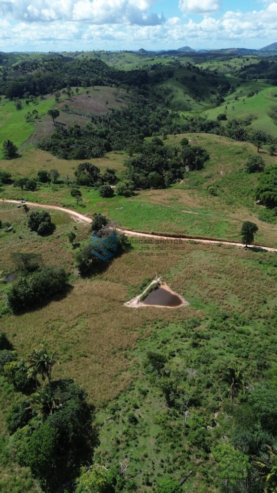 fazenda-venda-pindoba-em-alagoas-1045019