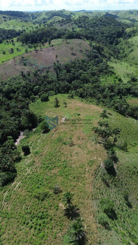 fazenda-venda-pindoba-em-alagoas-1045011