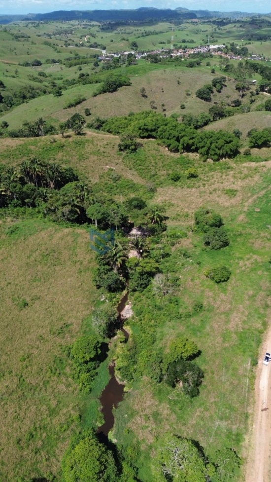 fazenda-venda-pindoba-em-alagoas-1045012