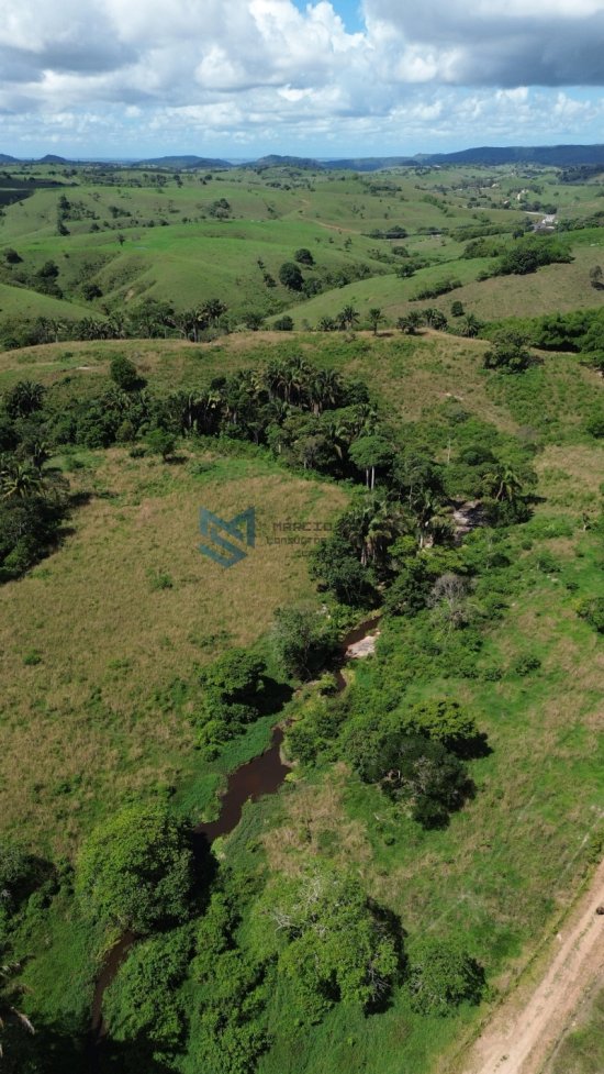 fazenda-venda-pindoba-em-alagoas-1045013