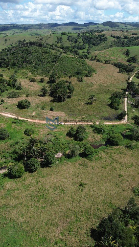 fazenda-venda-pindoba-em-alagoas-1045014