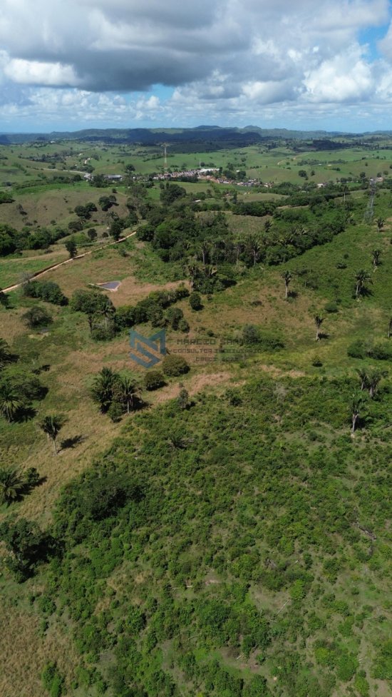 fazenda-venda-pindoba-em-alagoas-1045015