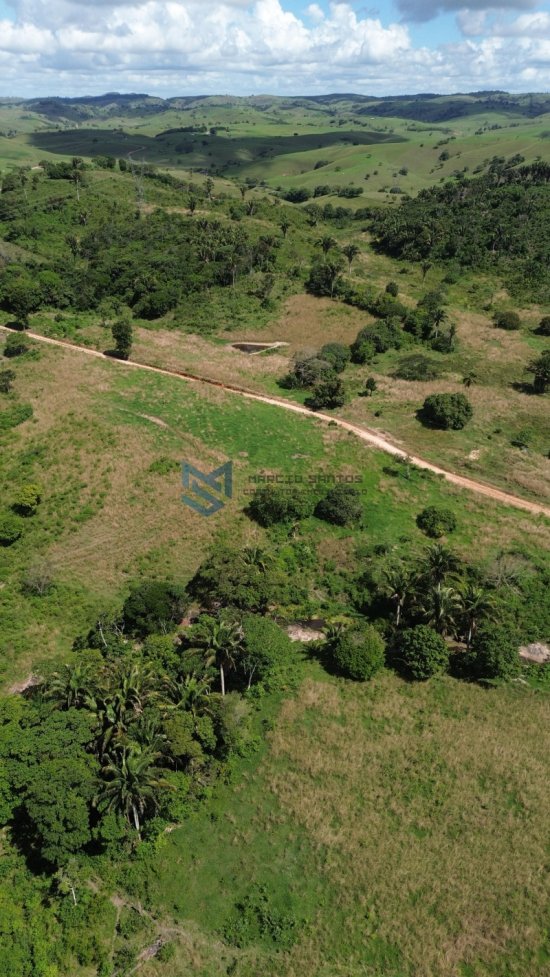 fazenda-venda-pindoba-em-alagoas-1045016