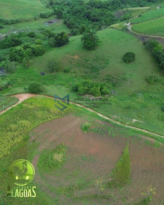 fazenda-venda-pindoba-em-alagoas-1045017