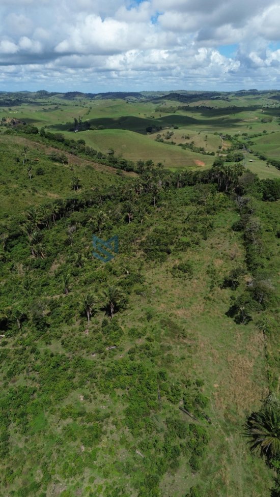 fazenda-venda-pindoba-em-alagoas-1045018