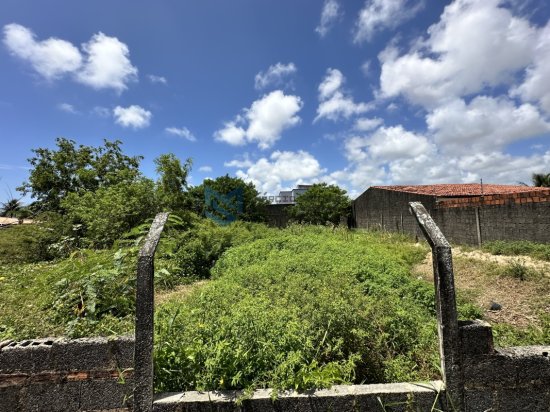 terreno-venda-imperial-proximo-ao-frances-marechal-deodoro-al-1078981