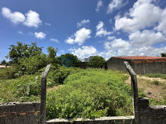 terreno-venda-imperial-proximo-ao-frances-marechal-deodoro-al-1078983