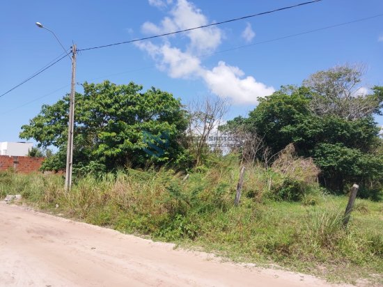 lote-venda-massagueira-litoral-sul-marecchal-deodoro-1022276