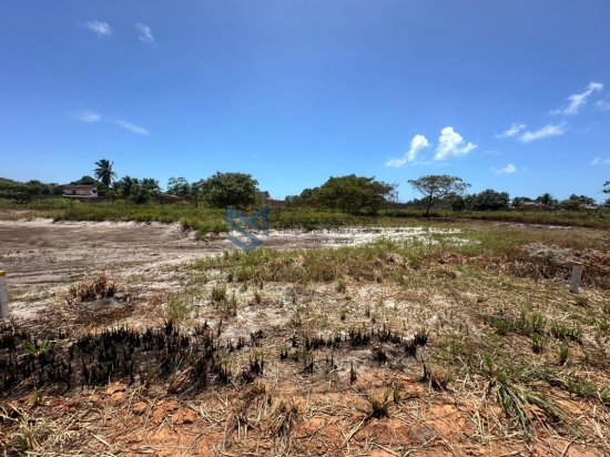 lote-venda-massagueira-litoral-sul-de-alagoas-1062904