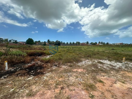 lote-venda-massagueira-litoral-sul-de-alagoas-1062892