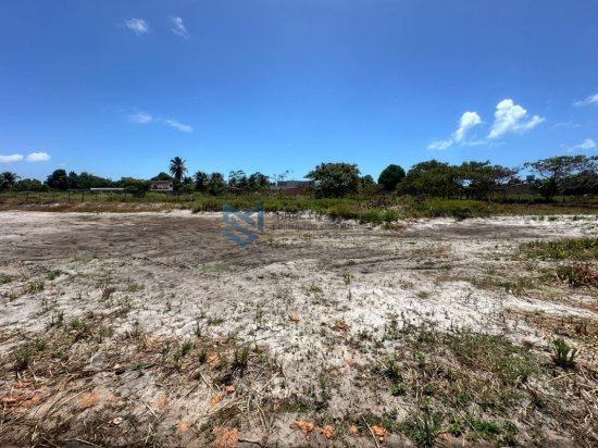lote-venda-massagueira-litoral-sul-de-alagoas-1062896