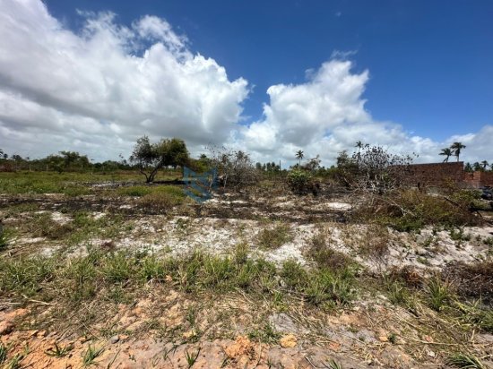 lote-venda-massagueira-litoral-sul-de-alagoas-1062897