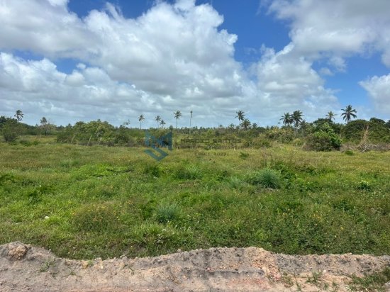 lote-venda-massagueira-litoral-sul-de-alagoas-1062899