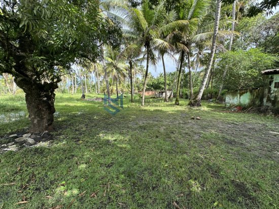 chacara-venda-massagueira-marechal-deodoro-al-1118063