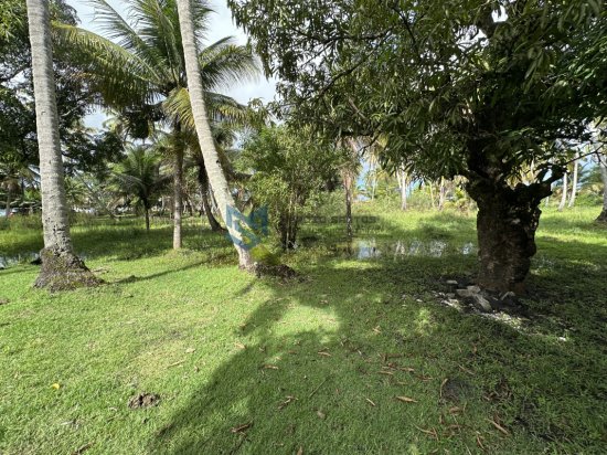 chacara-venda-massagueira-marechal-deodoro-al-1118064