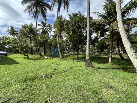 chacara-venda-massagueira-marechal-deodoro-al-1118065