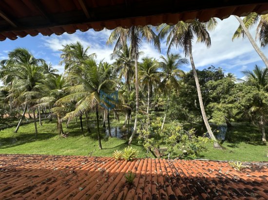 chacara-venda-massagueira-marechal-deodoro-al-1118084