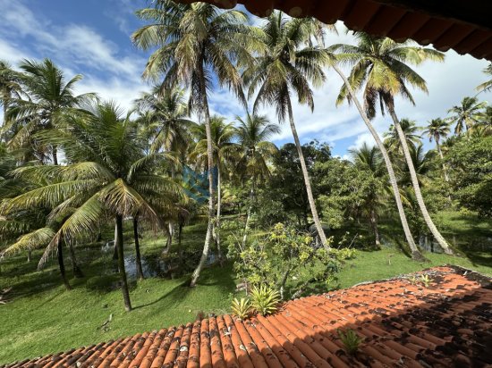 chacara-venda-massagueira-marechal-deodoro-al-1118085